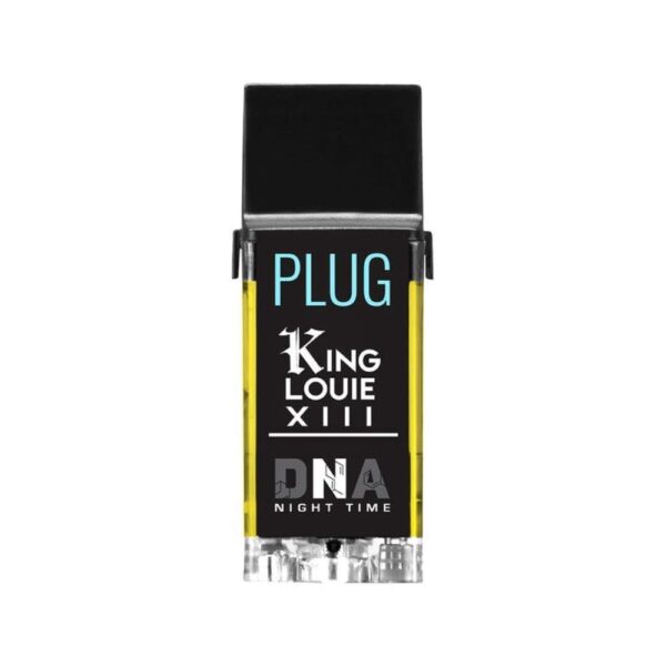 King Louie XIII