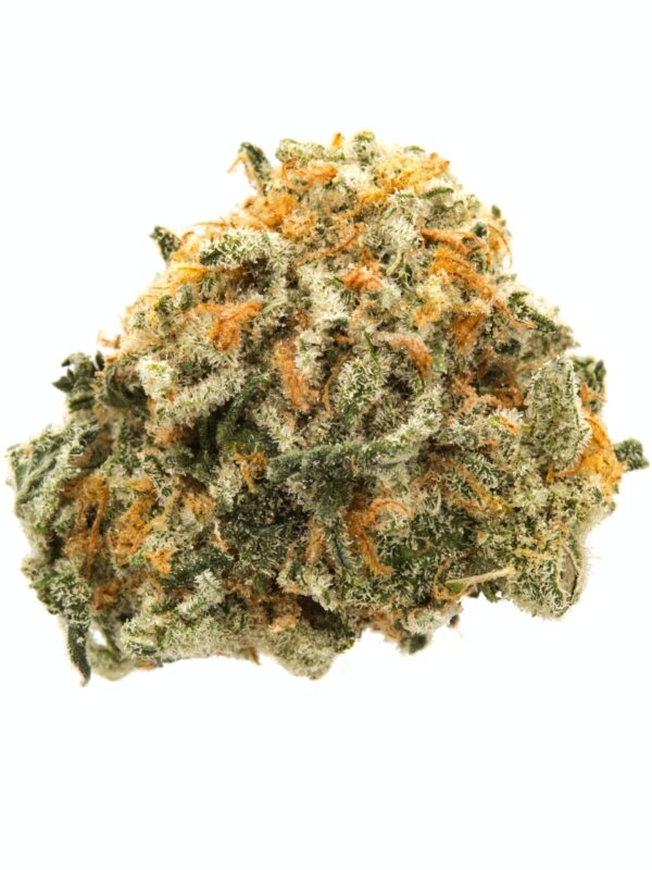 Ak 47