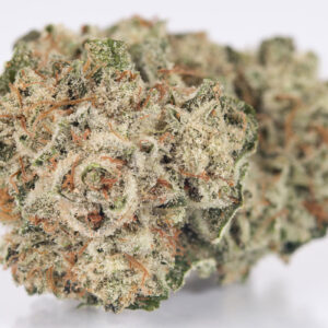 Gorilla Glue
