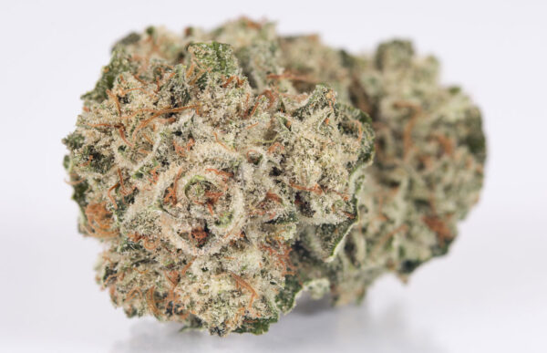 Gorilla Glue