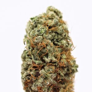 Girl Scout Cookies