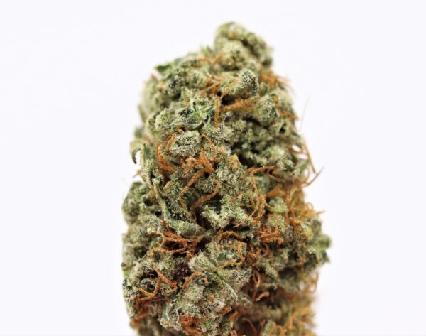 Girl Scout Cookies