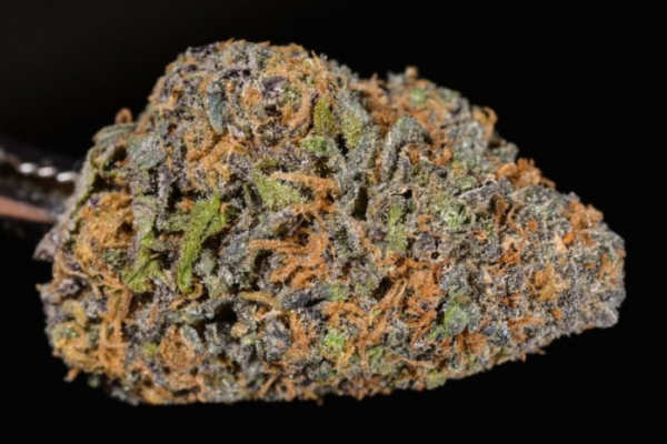 Granddaddy Purple - Image 2