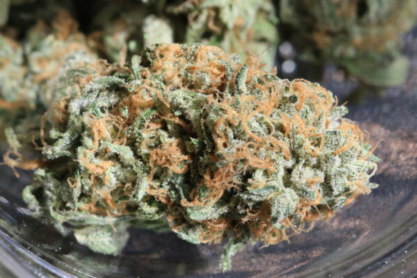 Zkittlez - Image 2
