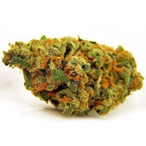 Jack Herer